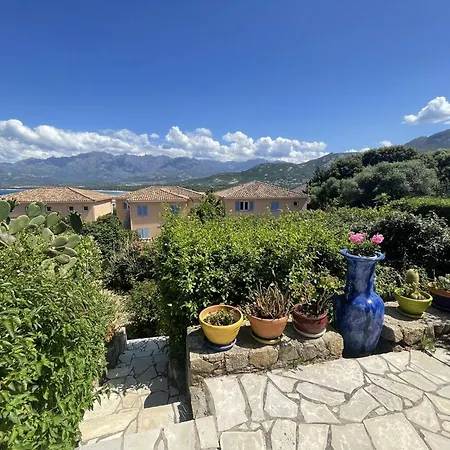 Charmant Calvi Avec Terrasse Et Jardinet - Fr-1-719-43 Calvi (Corsica)