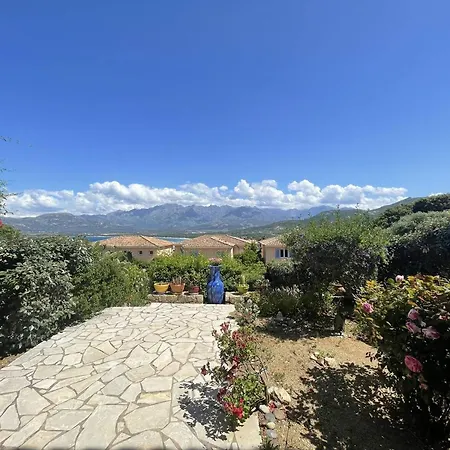 Charmant Calvi Avec Terrasse Et Jardinet - Fr-1-719-43