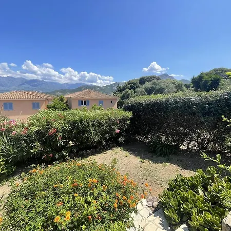 Apartment Charmant Calvi Avec Terrasse Et Jardinet - Fr-1-719-43 *