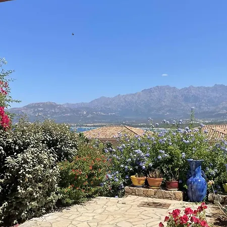 Charmant Calvi Avec Terrasse Et Jardinet - Fr-1-719-43 Calvi (Corsica)