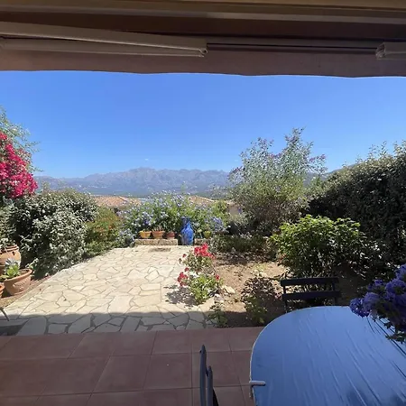 Charmant Calvi Avec Terrasse Et Jardinet - Fr-1-719-43 칼비