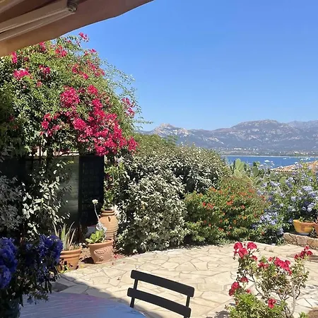 Charmant Calvi Avec Terrasse Et Jardinet - Fr-1-719-43 아파트
